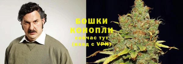 ГАЛЛЮЦИНОГЕННЫЕ ГРИБЫ Балахна