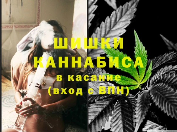 ГАЛЛЮЦИНОГЕННЫЕ ГРИБЫ Балахна