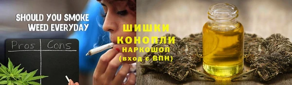 ГАЛЛЮЦИНОГЕННЫЕ ГРИБЫ Балахна