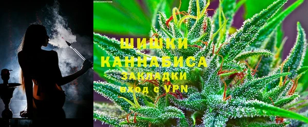 ГАЛЛЮЦИНОГЕННЫЕ ГРИБЫ Балахна
