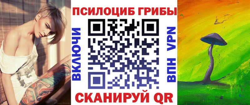 даркнет сайт  Кувшиново  Псилоцибиновые грибы Psilocybe 